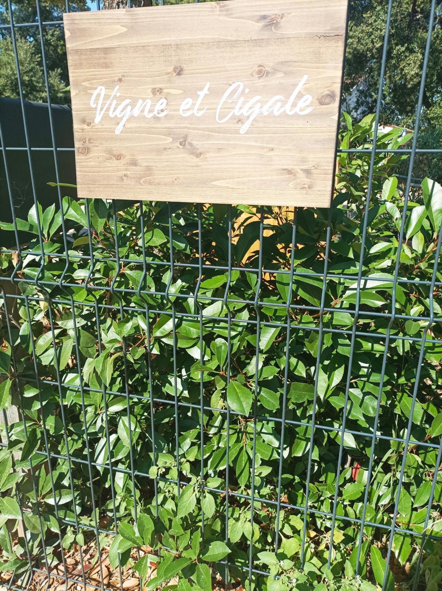 Vigne Et Cigale Apartamento Le Thoronet Exterior foto